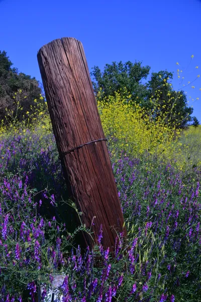 DSC_6145 (Large).JPG